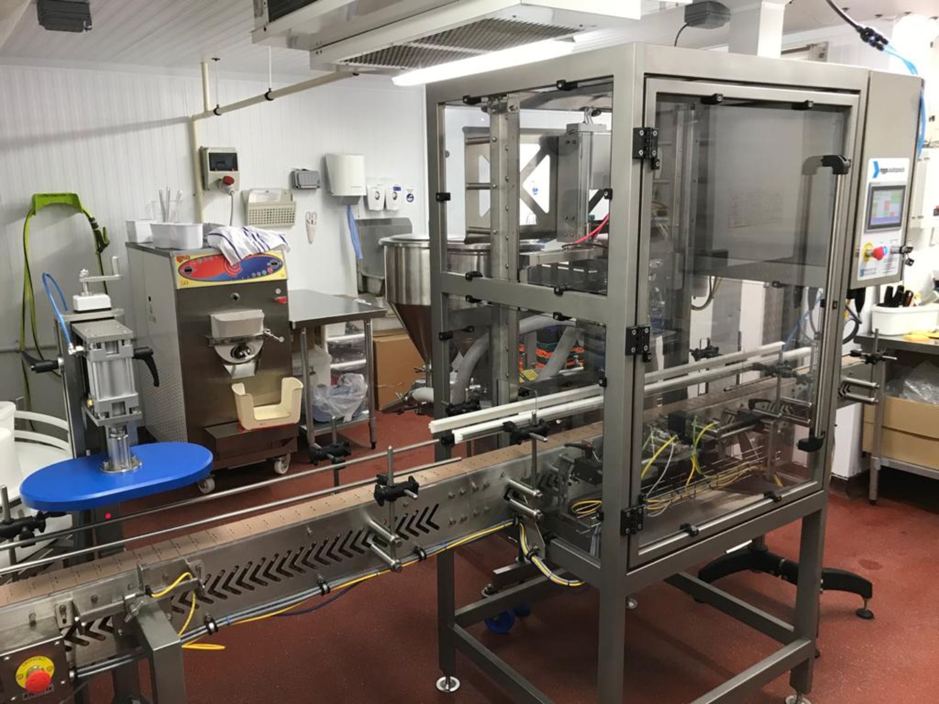 2019 RIGGS AUTOPACK FILLING LINE - Image 3 of 19