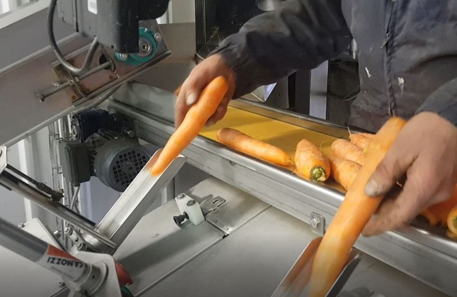 COMPLETE CARROT PEELING, WASHING AND PACKING SYSTEM - Image 3 of 12