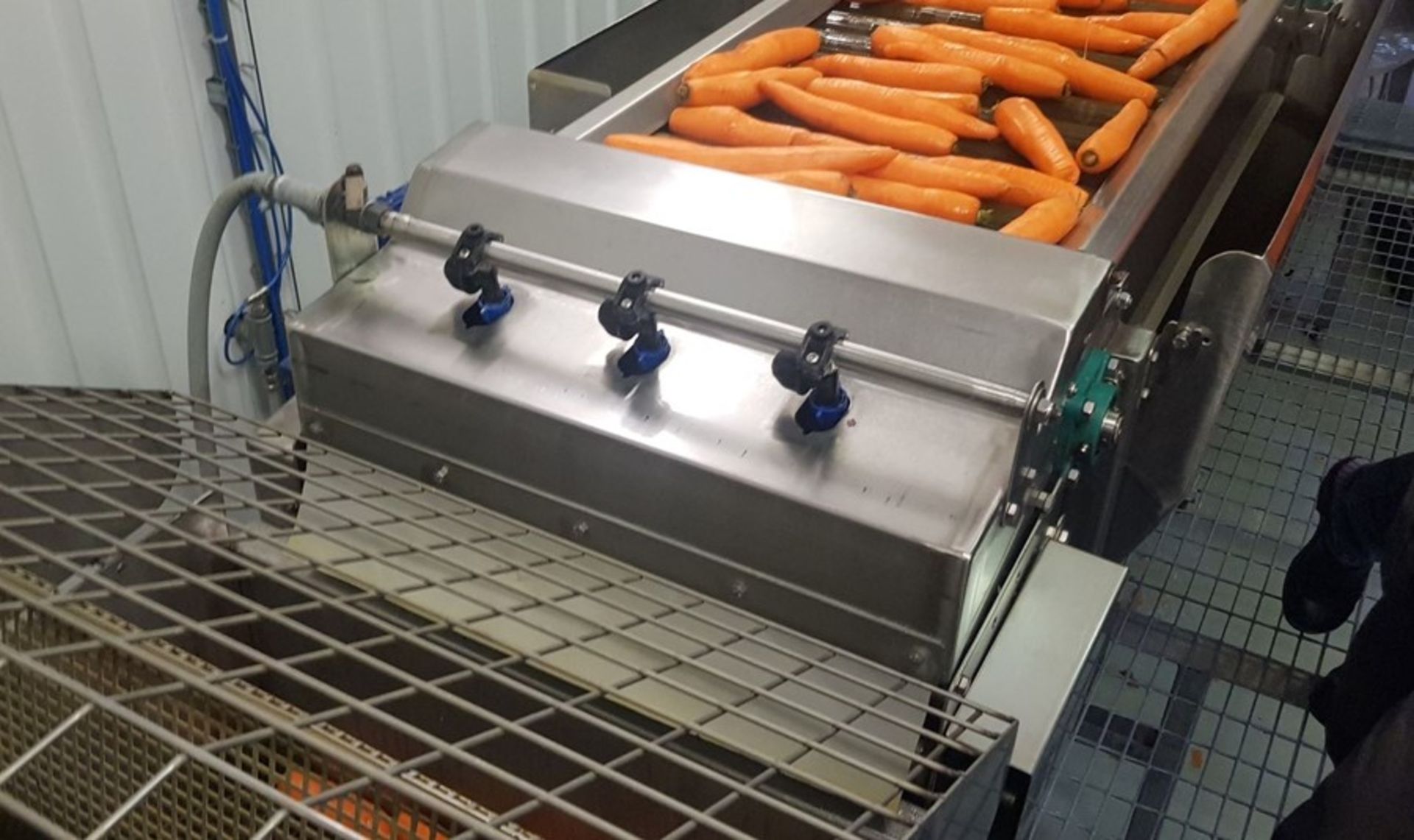 COMPLETE CARROT PEELING, WASHING AND PACKING SYSTEM - Image 10 of 12