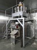 MULTIHEAD WEIGHER AND BAGGER AND GANTRY