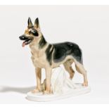 PORCELAIN FIGURINE OF A GERMAN SHEPHERD. Meissen. Date: 1925-1934. Maker/Designer: E. Hösel, 1925.