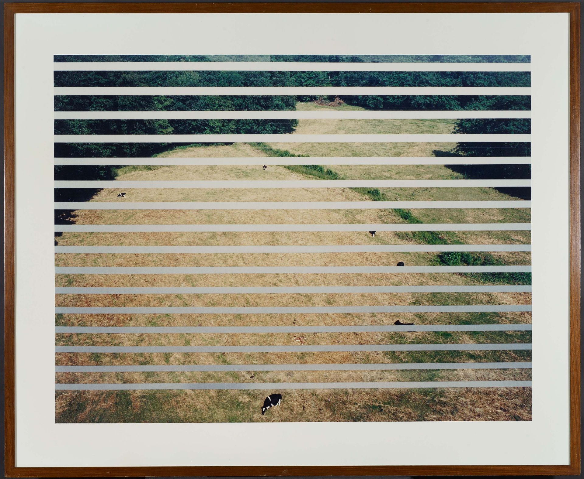 Gursky, Andreas1955 Leipzig"Autobahn, Mettmann". 1993. C-print/Diasec. 140 x 180cm (175 x 214cm). - Bild 2 aus 4