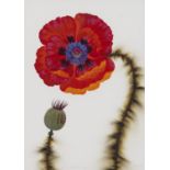 ARMSTRONG, L.C.1954 Humboldt,TN/USATitel: Red Oriental Poppy. Datierung: 2009. Technik: Acryl und