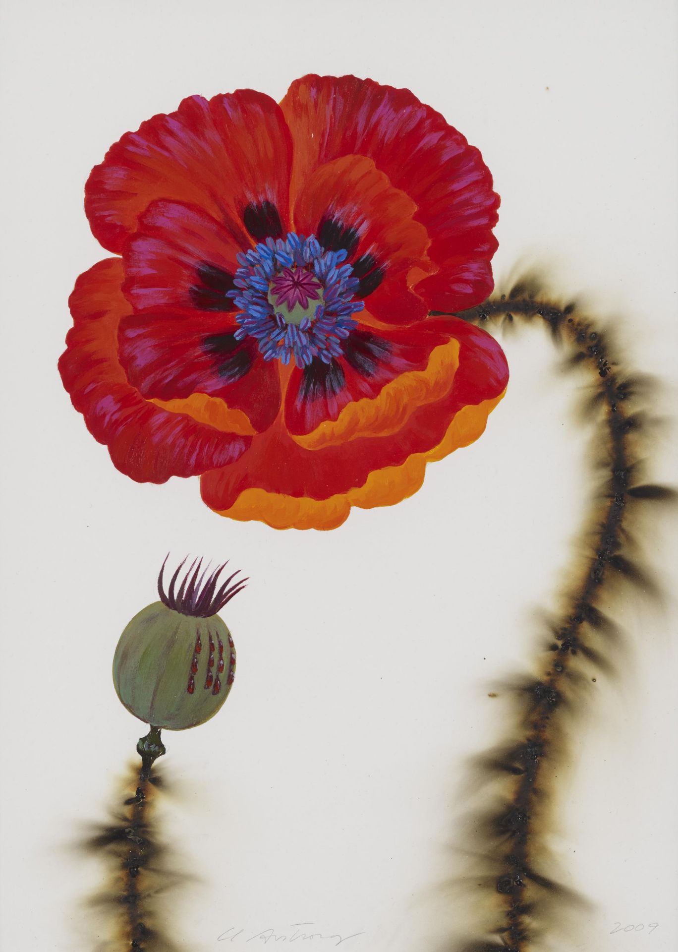 ARMSTRONG, L.C.1954 Humboldt,TN/USATitel: Red Oriental Poppy. Datierung: 2009. Technik: Acryl und