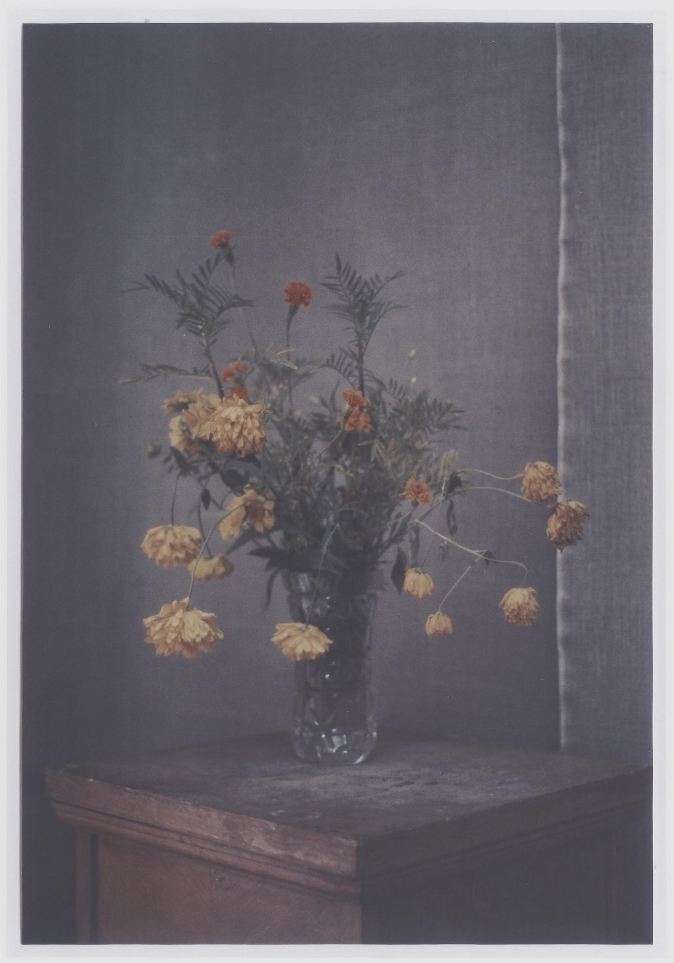 KERBER, INGA1982 BerlinTitel: Cliché of a flower bouquet X (5-teiliges Werk). Datierung: 2012. - Bild 8 aus 16