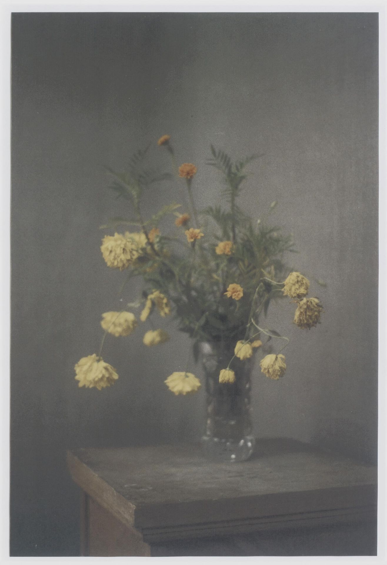 KERBER, INGA1982 BerlinTitel: Cliché of a flower bouquet X (5-teiliges Werk). Datierung: 2012. - Image 5 of 16