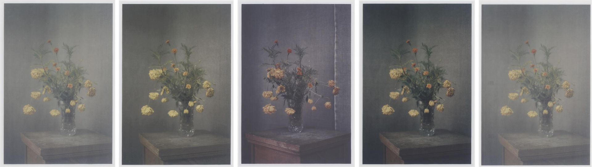 KERBER, INGA1982 BerlinTitel: Cliché of a flower bouquet X (5-teiliges Werk). Datierung: 2012.