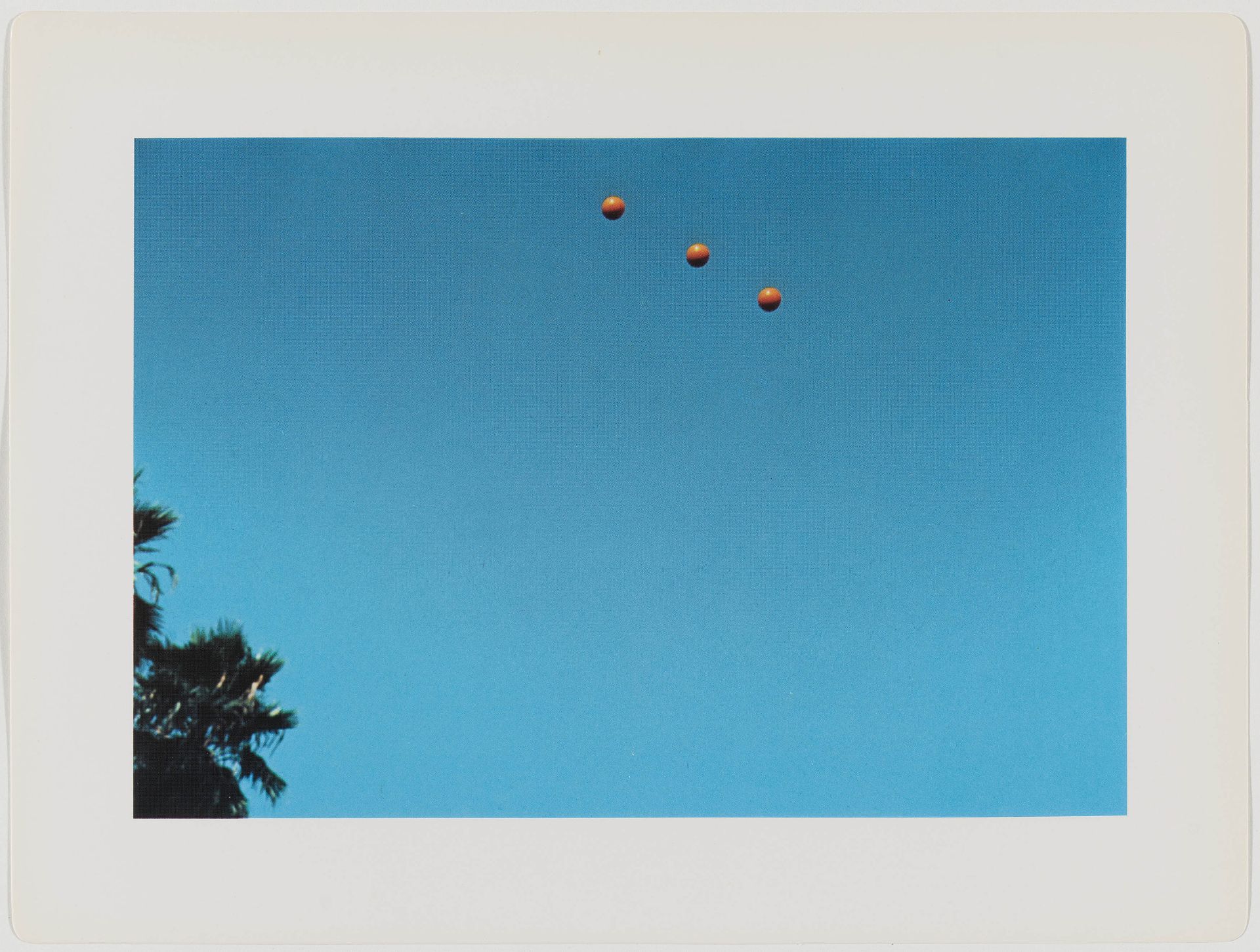 BALDESSARI, JOHN - Image 9 of 20