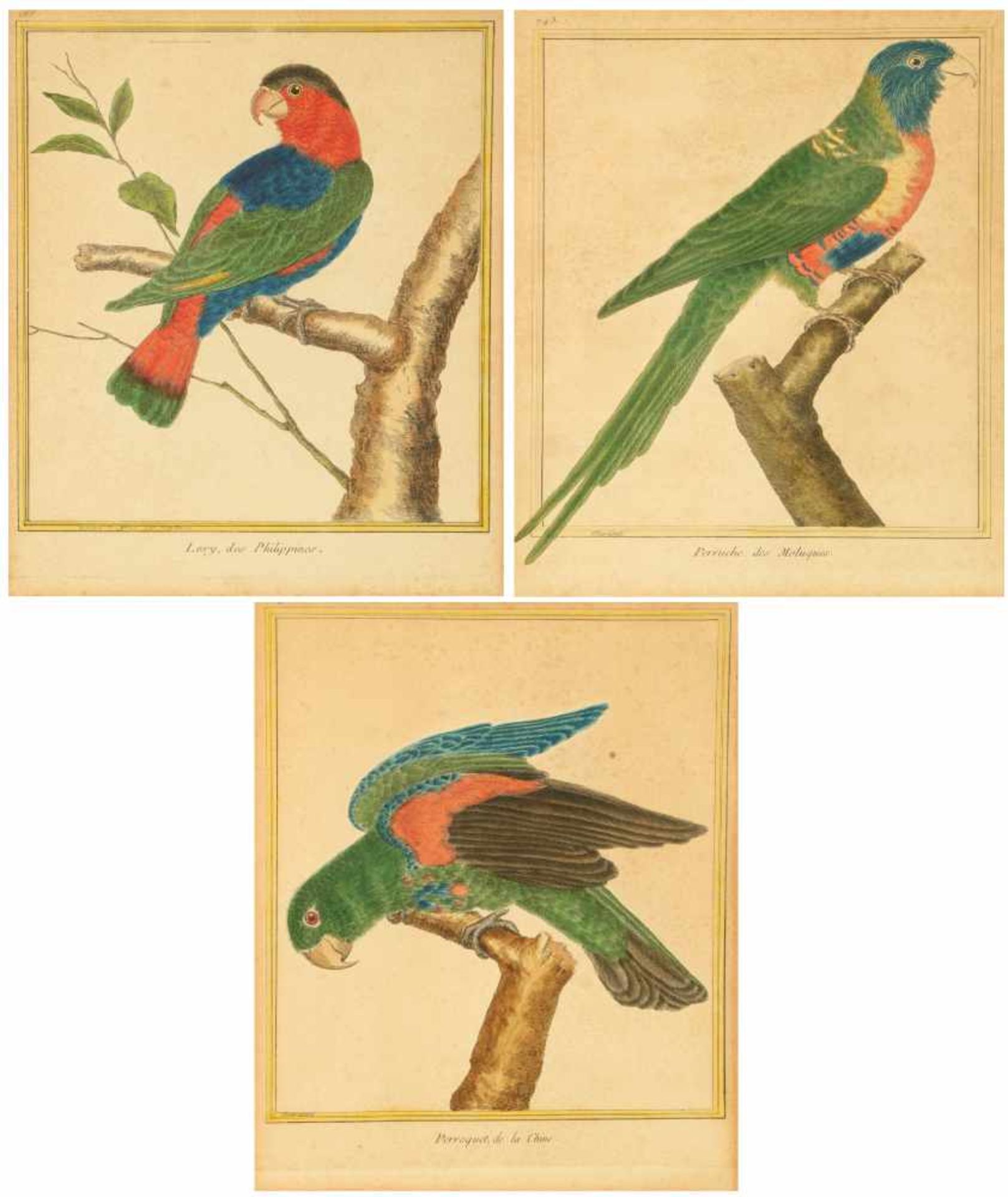 A lot with (3) handcoloured engravurings after François-Nicolas Martinet (Aklonlie, Fr. 1731 - 1800)