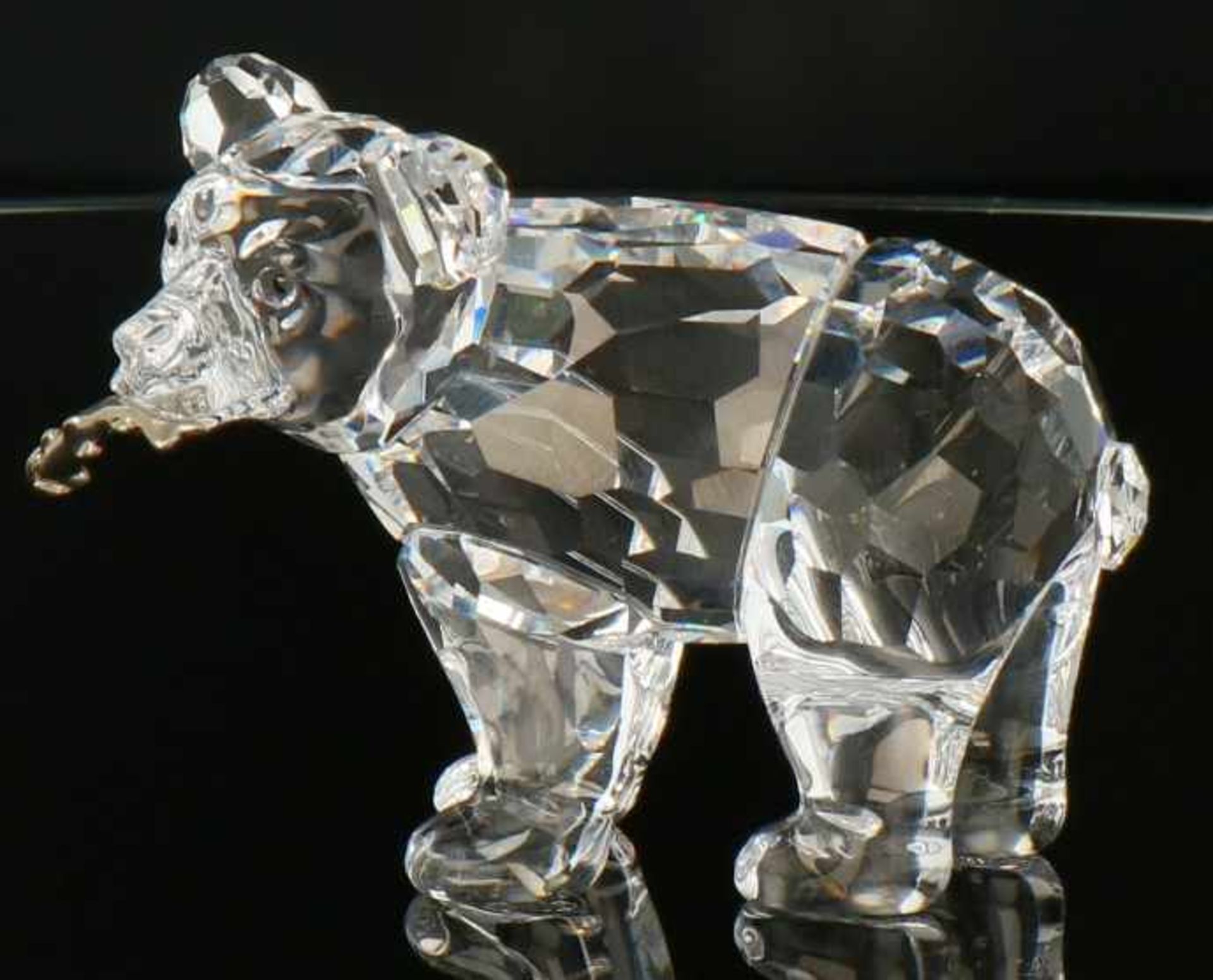 Swarovski Grizzly jong met zalm.