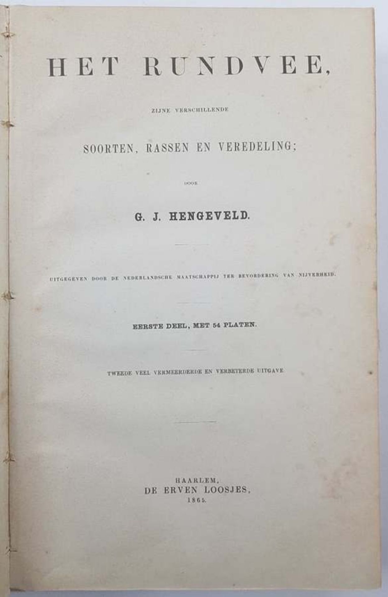 (Boeken) (Boeken) G. J. Hengeveld - Het Rundvee (1865) + 1 andere - Bild 4 aus 9