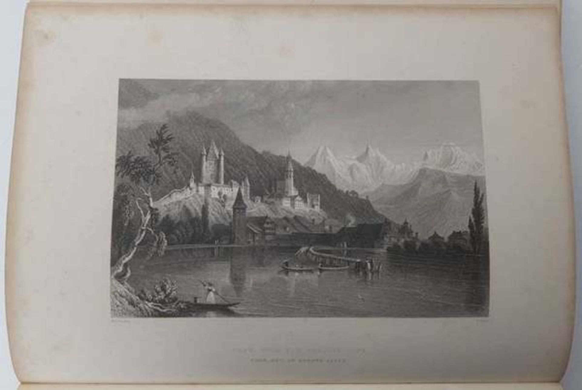 (Boeken) (Boeken) G. J. Hengeveld - Het Rundvee (1865) + 1 andere - Bild 7 aus 9
