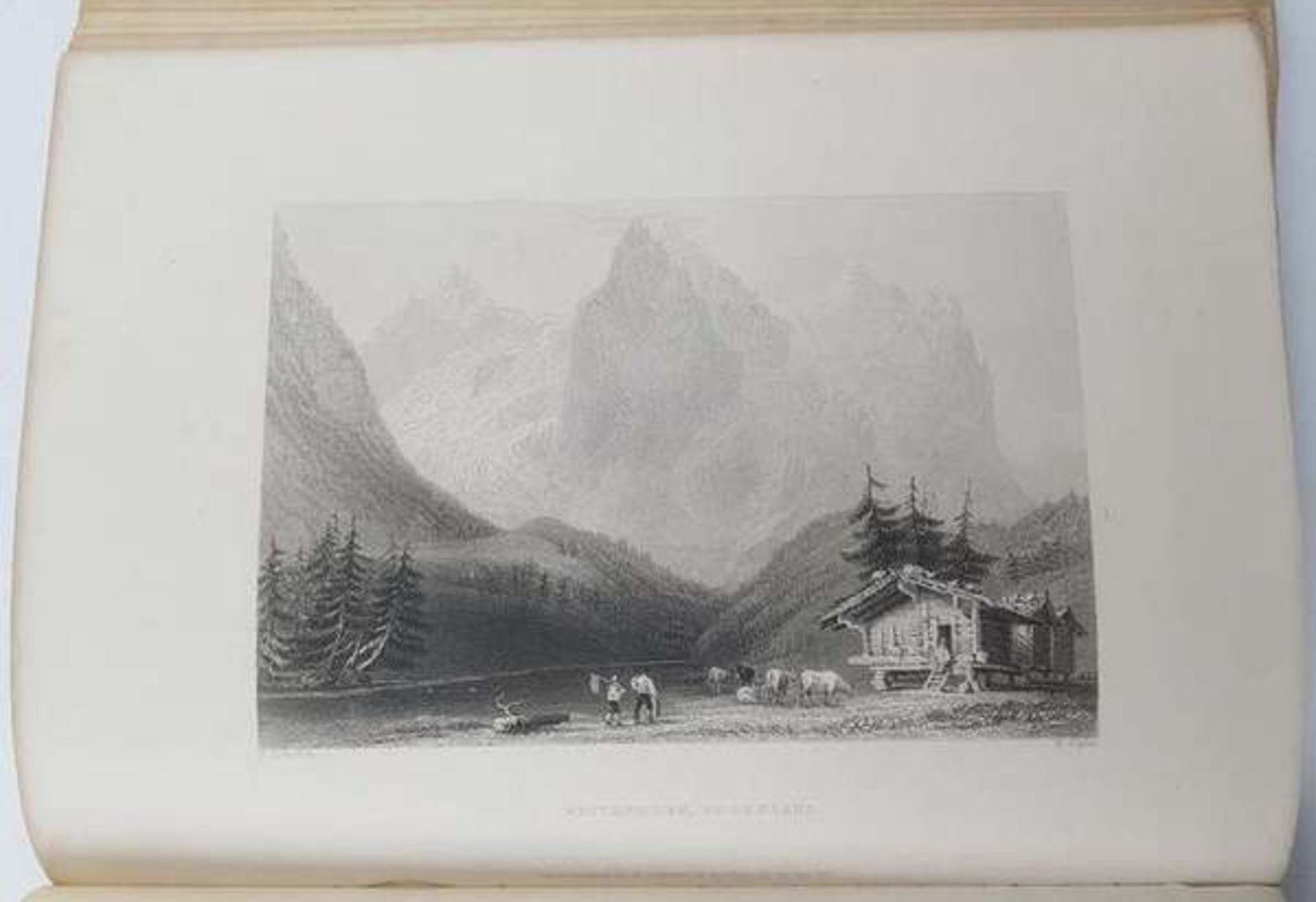 (Boeken) (Boeken) G. J. Hengeveld - Het Rundvee (1865) + 1 andere - Bild 3 aus 9
