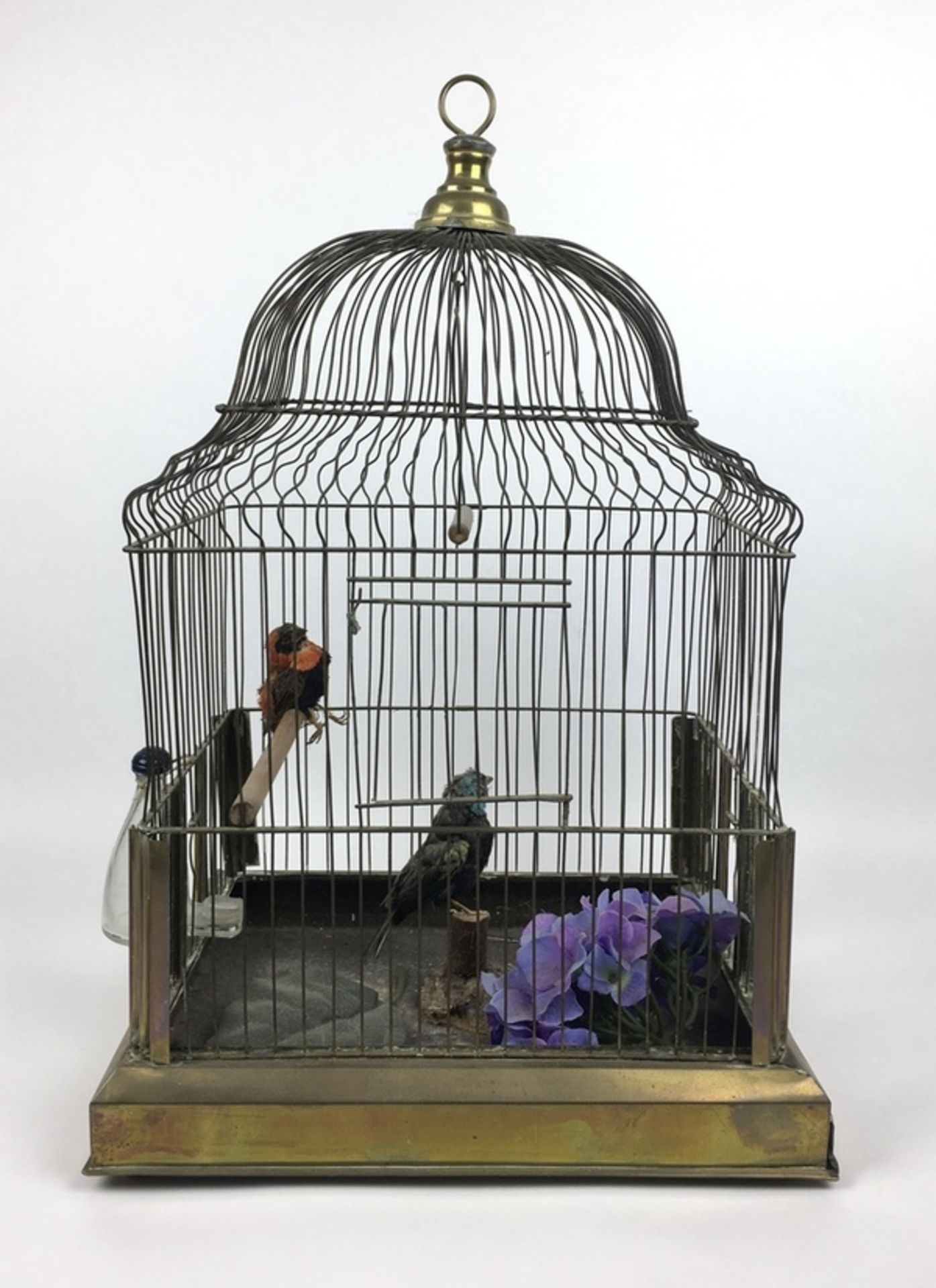 (Antiek) VogelkooiMessing vogelkooi met twee opgezette vogels, eerste helft 20e eeuw. Conditie: - Bild 3 aus 4