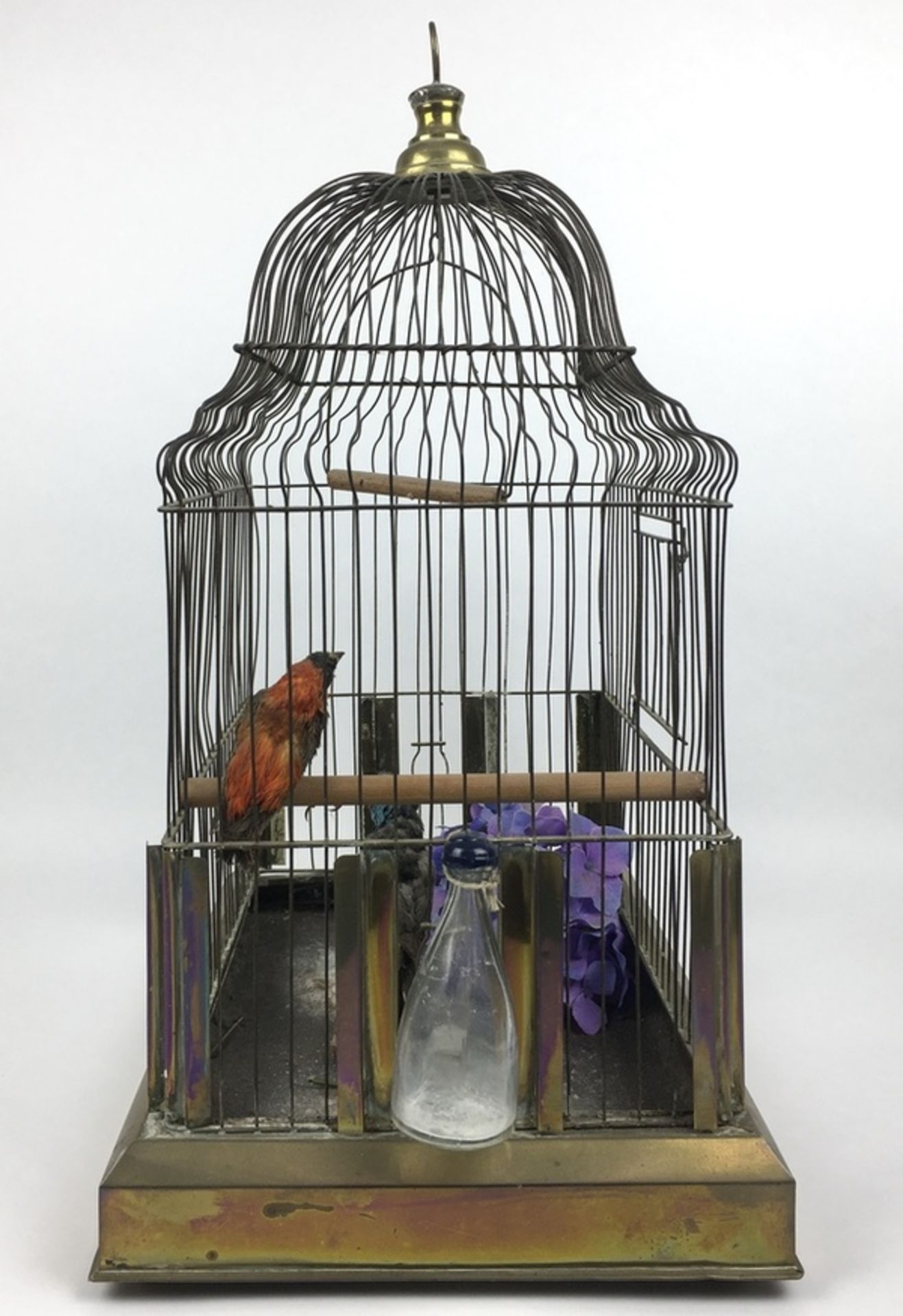 (Antiek) VogelkooiMessing vogelkooi met twee opgezette vogels, eerste helft 20e eeuw. Conditie: - Bild 2 aus 4