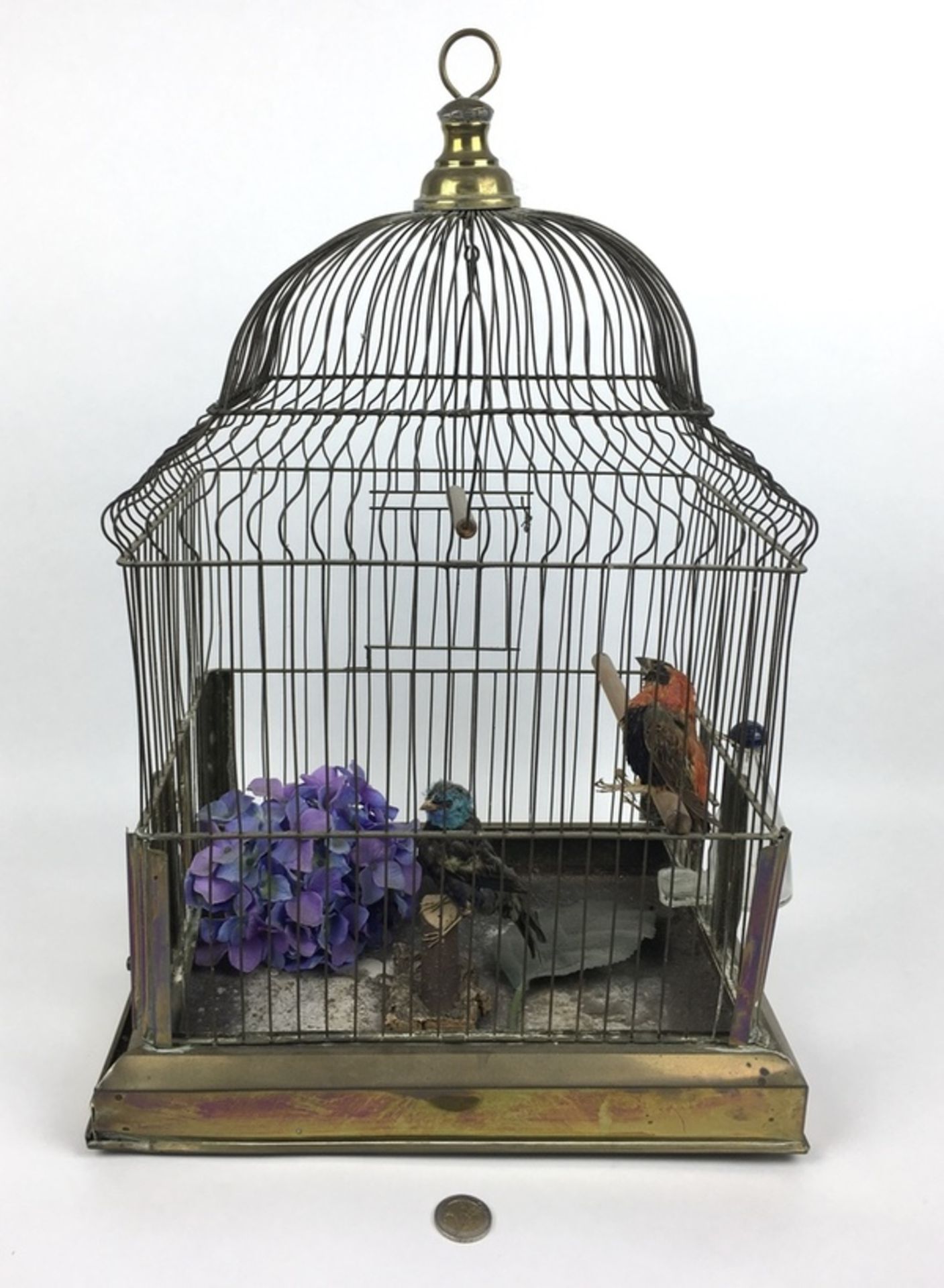 (Antiek) VogelkooiMessing vogelkooi met twee opgezette vogels, eerste helft 20e eeuw. Conditie: - Bild 4 aus 4