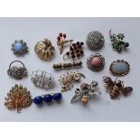 (Sieraden) BrochesLot met diverse broches. Conditie: In goede staat.