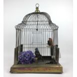 (Antiek) VogelkooiMessing vogelkooi met twee opgezette vogels, eerste helft 20e eeuw. Conditie: