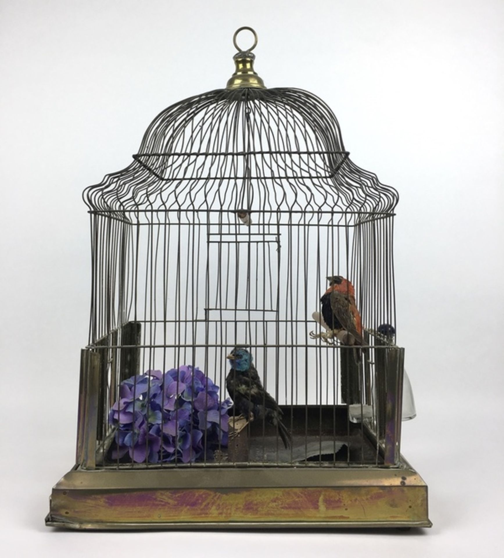 (Antiek) VogelkooiMessing vogelkooi met twee opgezette vogels, eerste helft 20e eeuw. Conditie: