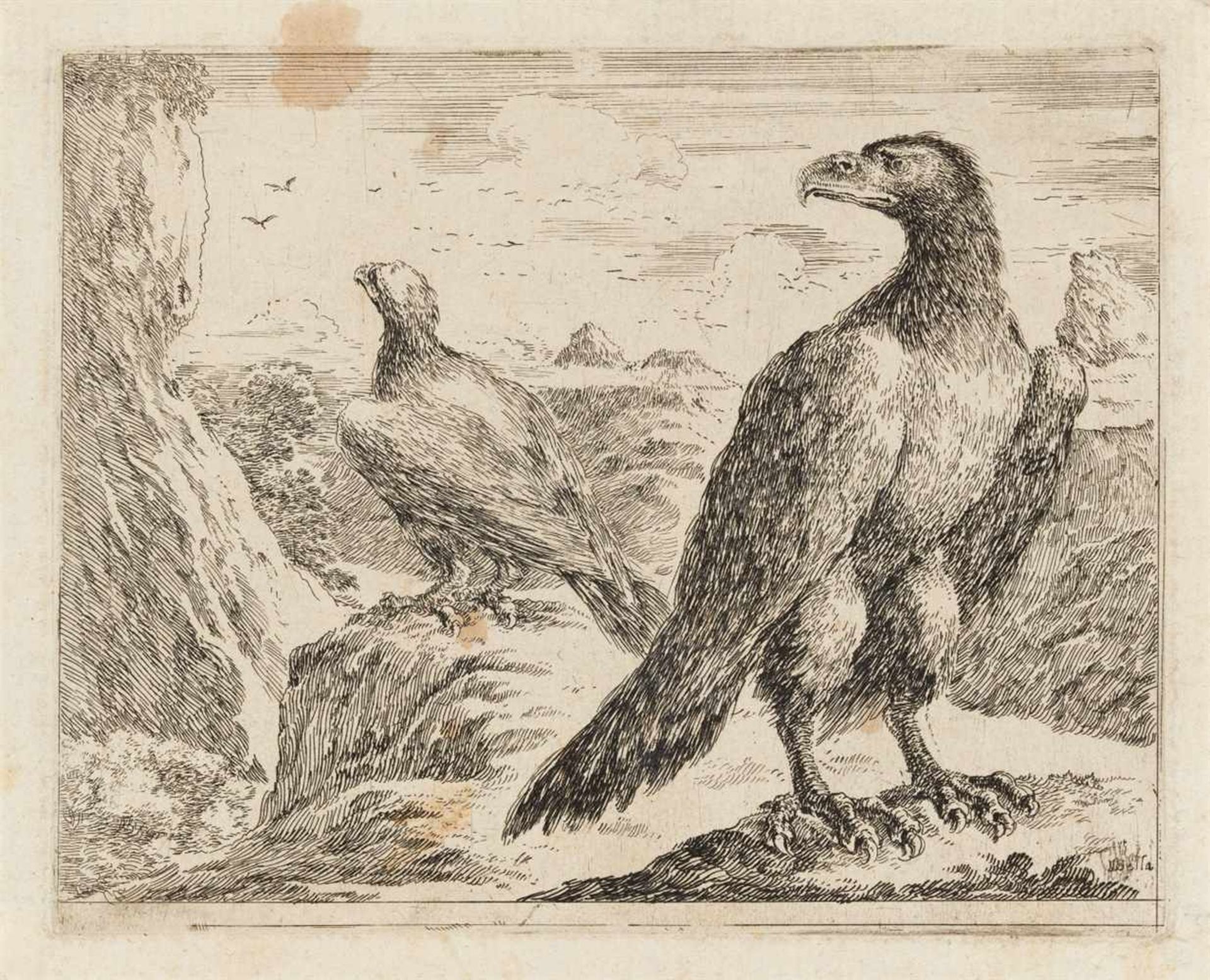 STEFANO DELLA BELLAFlorenz 1610 - 1664 Adler. 4 Blatt Radierungen aus einer 6-teiligen Serie auf