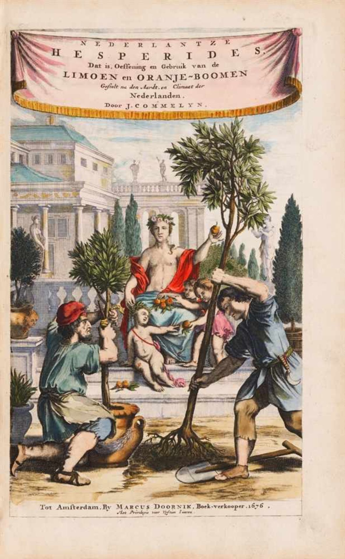 Causé, Hendrik: De koninglycke hovenier aanwyzende de middelen om boomen, bloemen en kruydrn te - Image 2 of 7