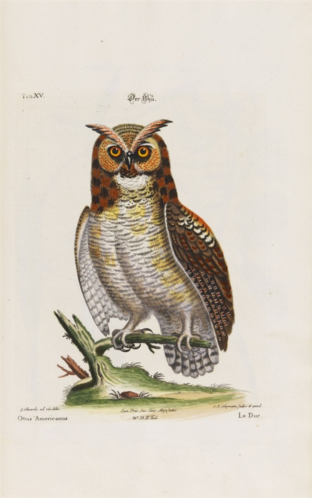 Seligmann, Johann Michael: Verzameling van uitlandsche en zeldsaame vogelen, benevens eenige - Bild 6 aus 14