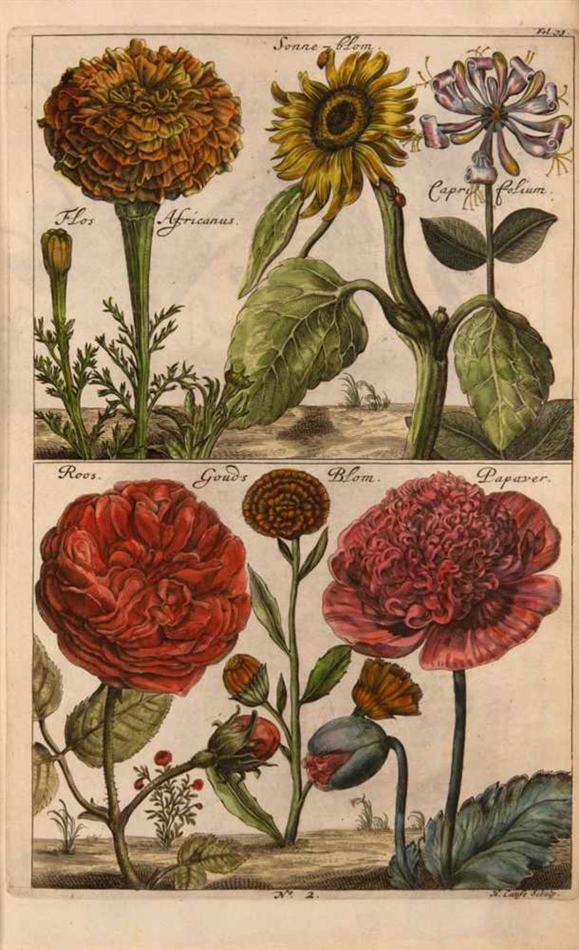 Causé, Hendrik: De koninglycke hovenier aanwyzende de middelen om boomen, bloemen en kruydrn te - Image 6 of 7