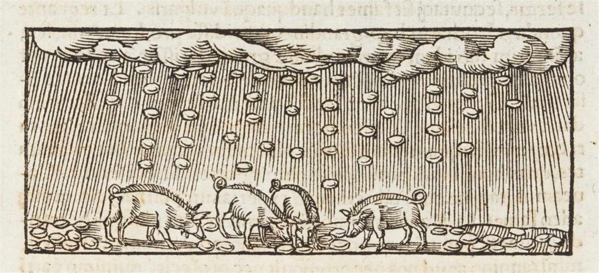 Nausea, Friedrich: Libri mirabilium septem. Köln: Peter Quentell 1532. 19,5 x 13,5 cm. Mit 29 - Bild 2 aus 2