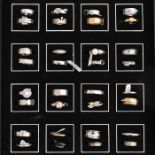 A Collection of Rings - New