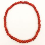 A Lot of 19th Century Red Coral