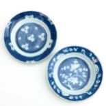 A Pair of Blue and White Plates