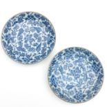 A Pair of Blue and White Plates