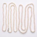 A Lot of 3 Pearl Necklaces