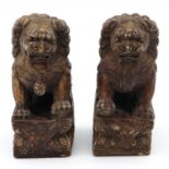 A Pair of Temple Stone Lions