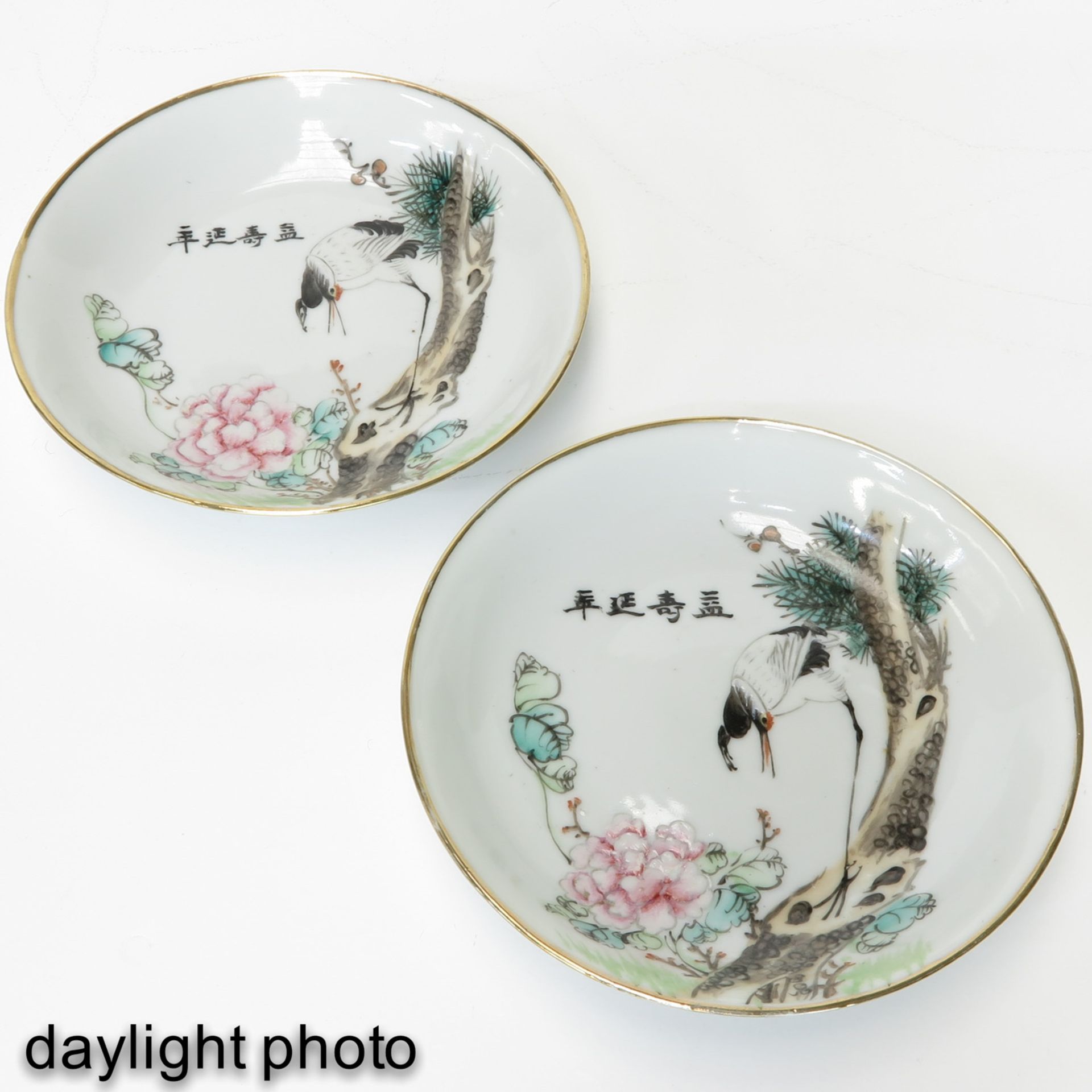 Two Small Polychrome Plates - Image 7 of 9