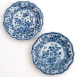 2 Blue and White Plates