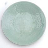 A Celadon Charger