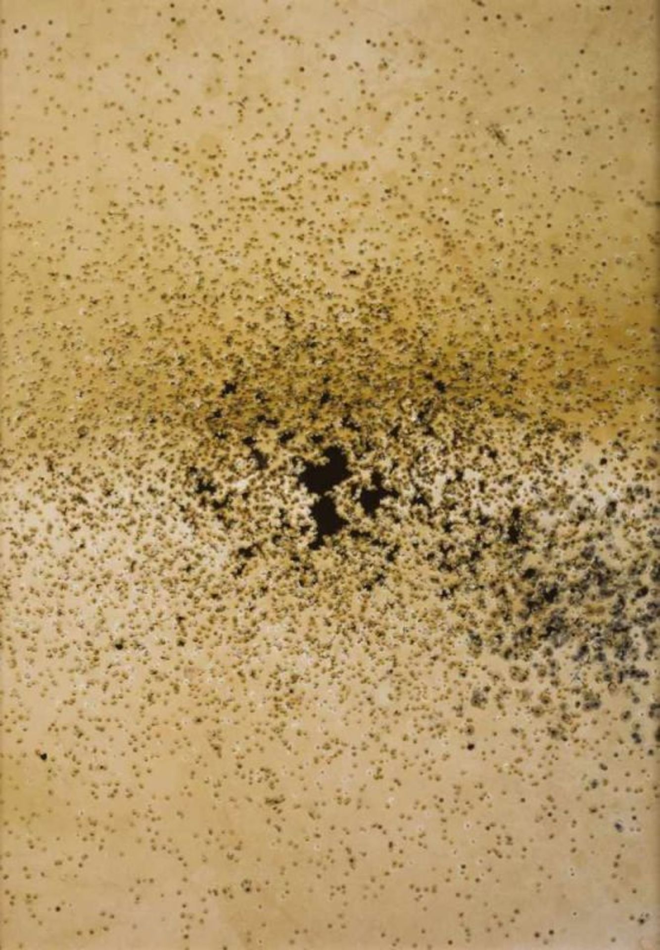 José Luís Neto (b. 1966)"Carreira de tiro", 2000Silver dye bleach print 63x45 cm 15.00 % buyer's