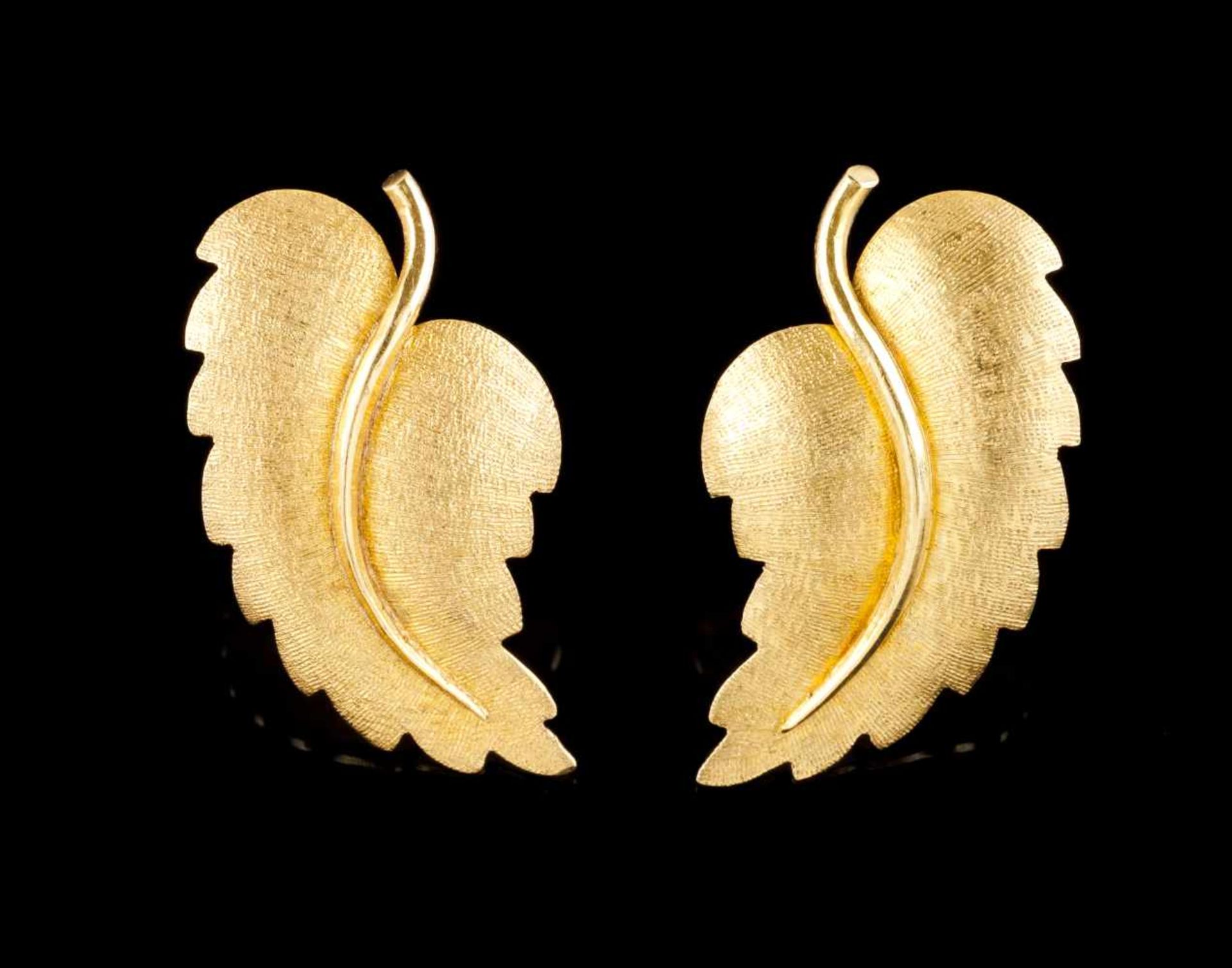 A pair of earrings