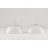 A pair of coversMoulded glass13x21x14,5 cm