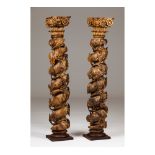 A pair of twisted columns