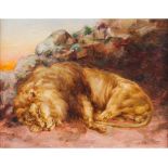 Artur Loureiro attrib. (1853-1932)A sleeping African lion