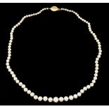 A pearl necklace