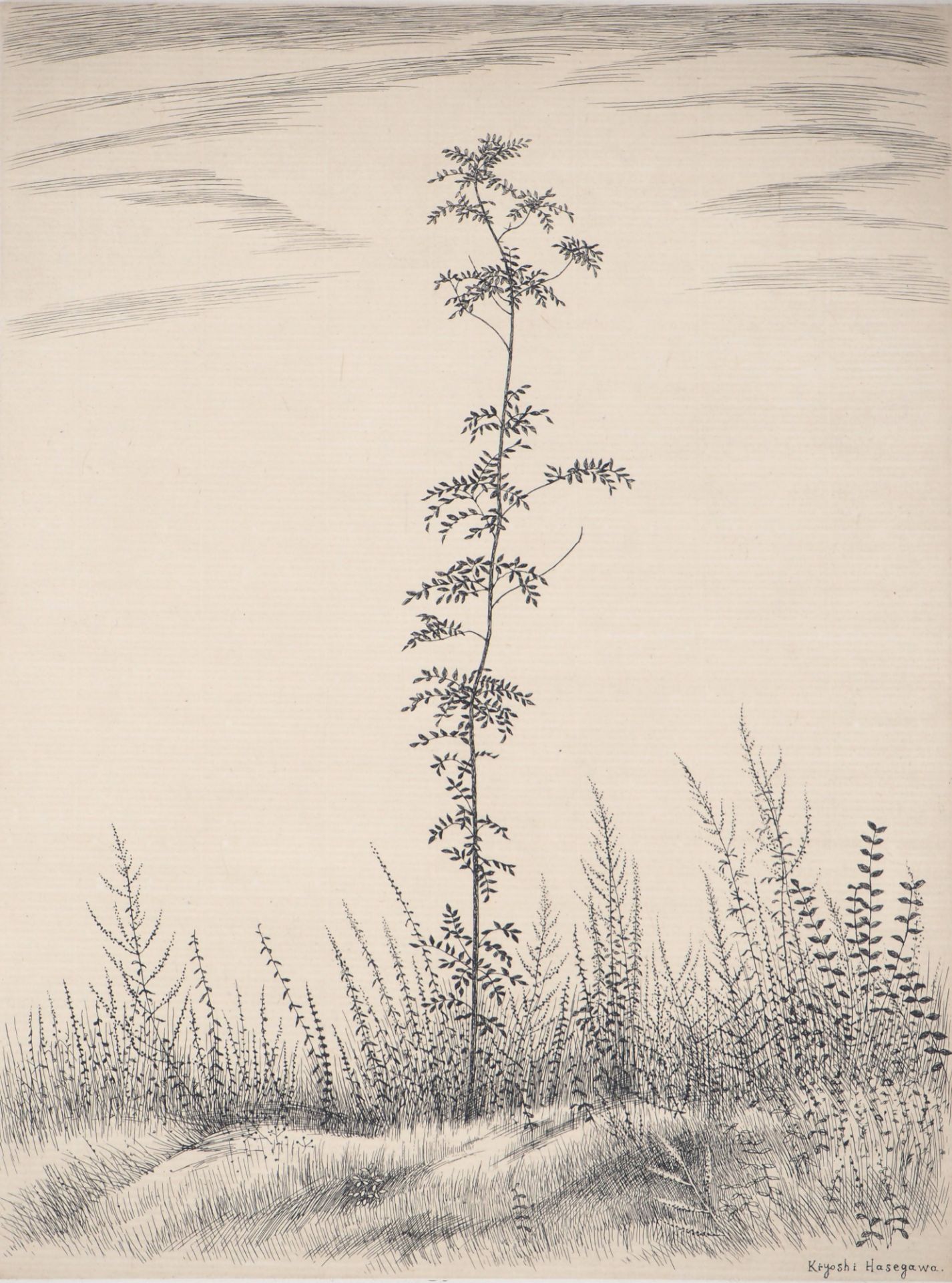 Kiyoshi HASEGAWA Un jeune arbre, 1953 Gravure originale sur vélin Signée dans la [...]