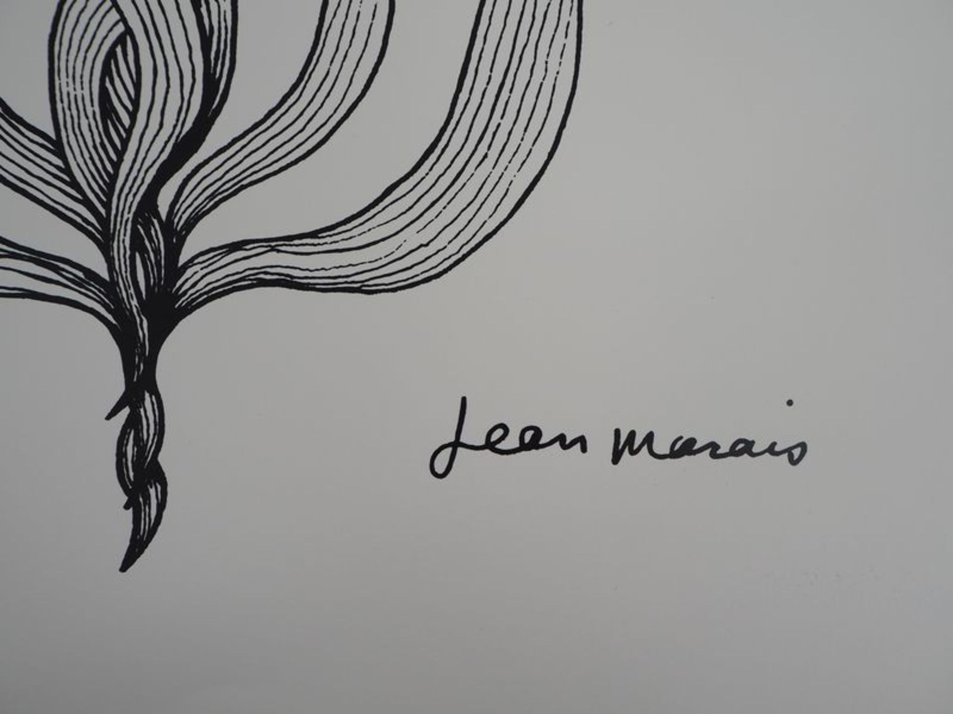 Jean MARAIS (1913 - 1998) Visage végétal Lithographie sur canson Vidalon Signée [...] - Bild 5 aus 7