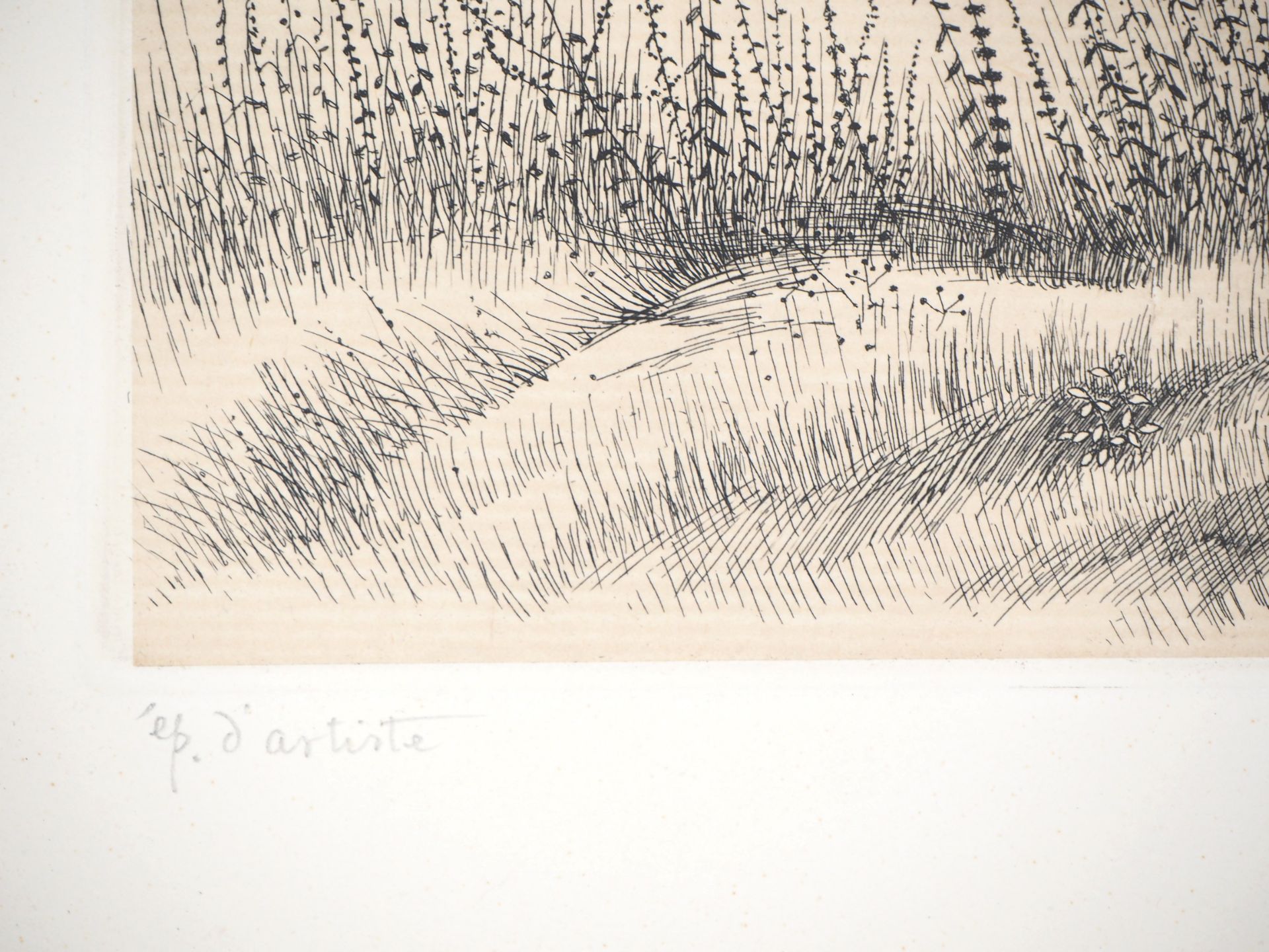 Kiyoshi HASEGAWA Un jeune arbre, 1953 Gravure originale sur vélin Signée dans la [...] - Bild 3 aus 7