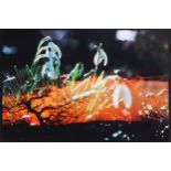 Peter Fischli und David Weiss (Zürich 1952 - lebt in Zürich bzw. 1946 - Zürich - 2012)