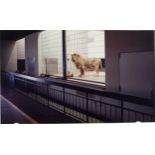 Candida Höfer (Eberswalde 1944 – lebt in Köln)