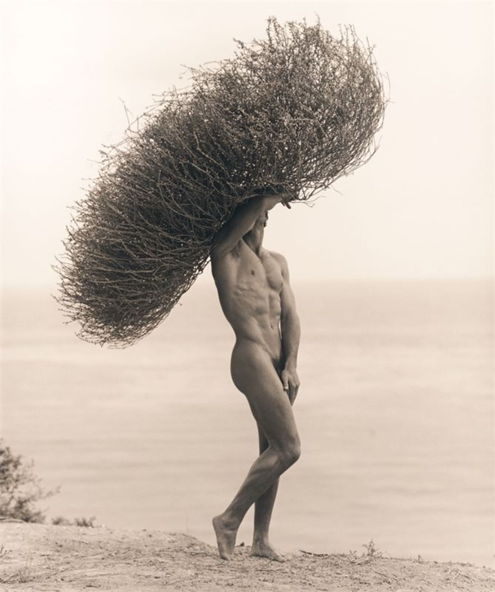 Herb Ritts (1952 – Los Angeles – 2002)