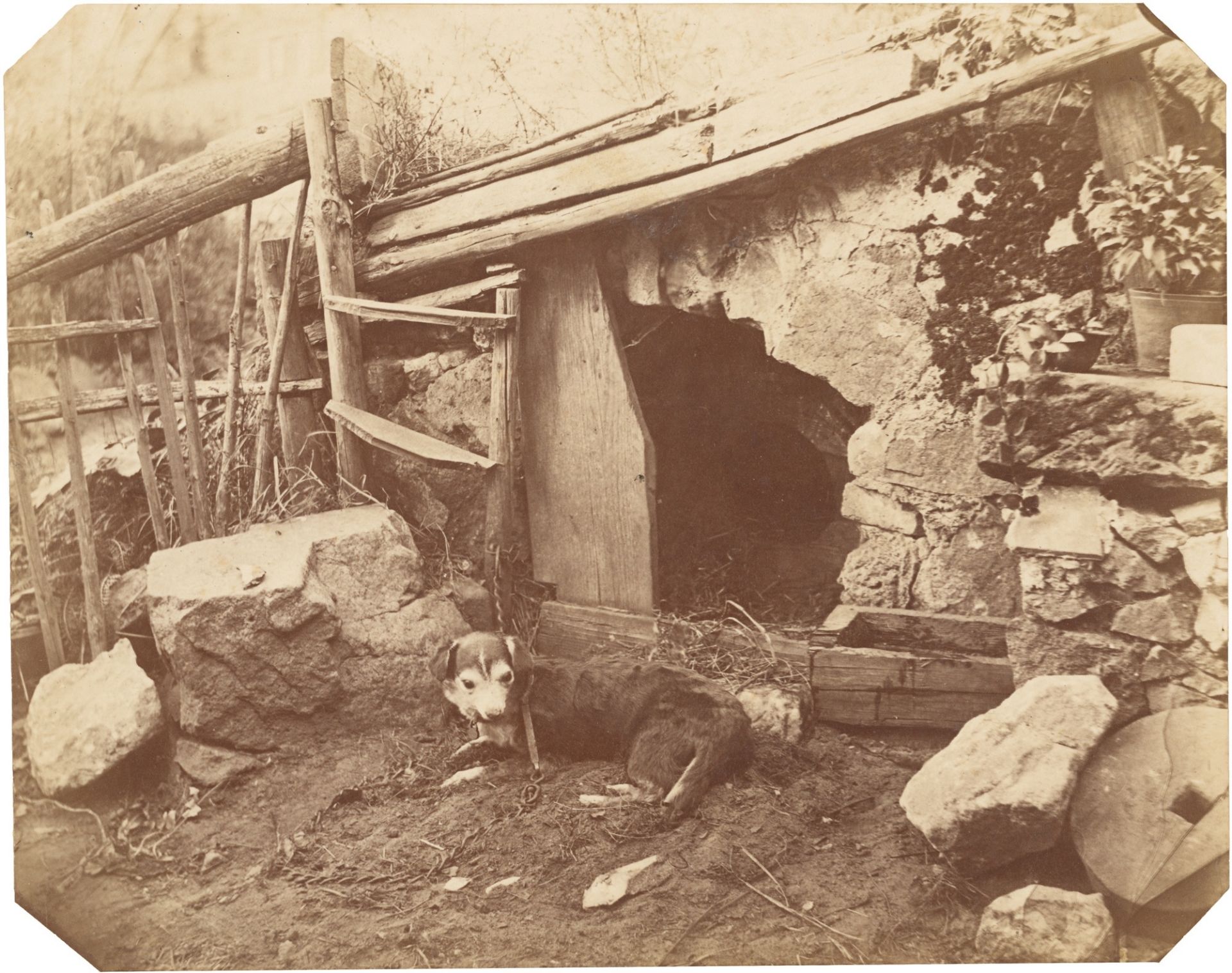 August Kotzsch. Meine Hundehütte mit schlafendem Hund. Um 1861